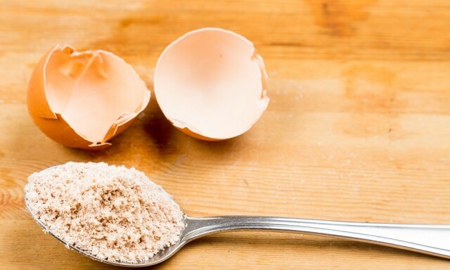 EGGESKALLPULVER: Knus eggeskallene så det blir til et fint pulver. FOTO: NTB Scanpix EGGESKALLPULVER: Knus eggeskallene så det blir til et fint pulver. FOTO: NTB Scanpix